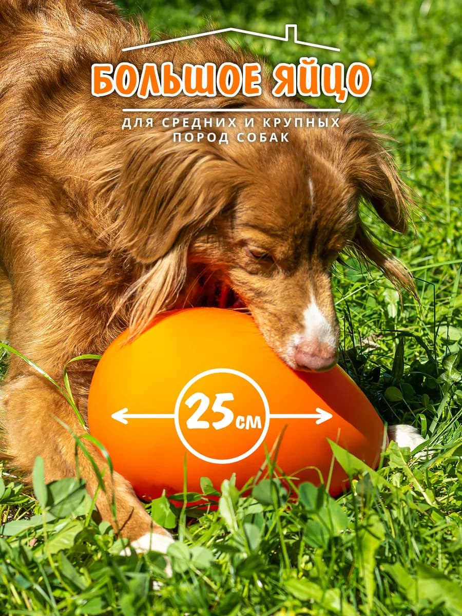 Игрушка для собак "Неуловимое яйцо"