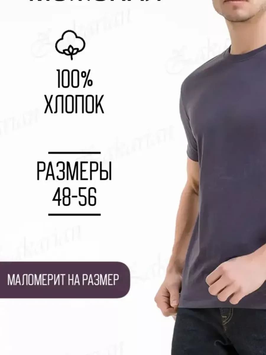 Футболка мужская