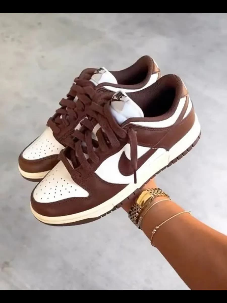 Кроссовки Dunk SB Brown