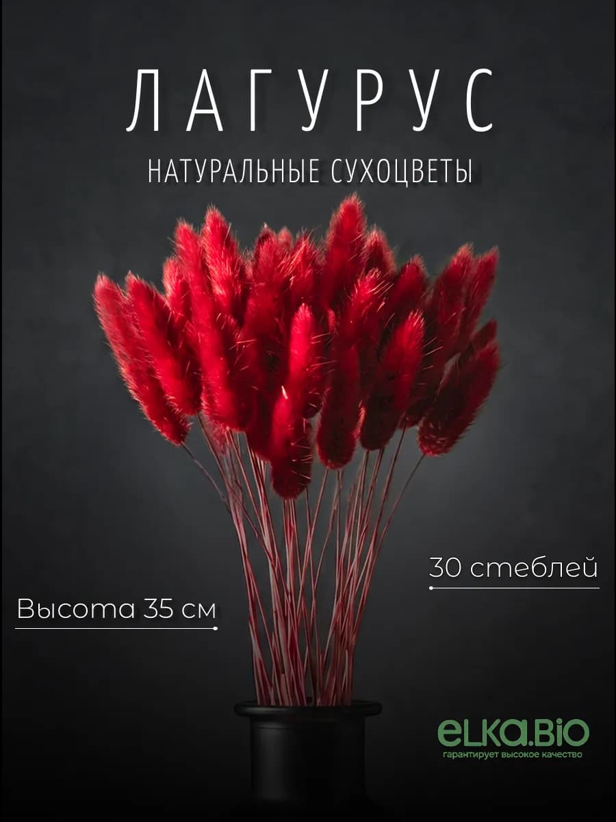 Лагурус красный 30 шт, засушенные цветы для декора