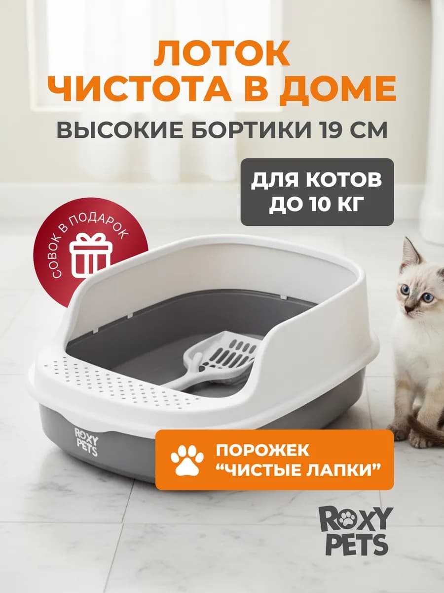 Лоток для кошек с высоким бортом и совком