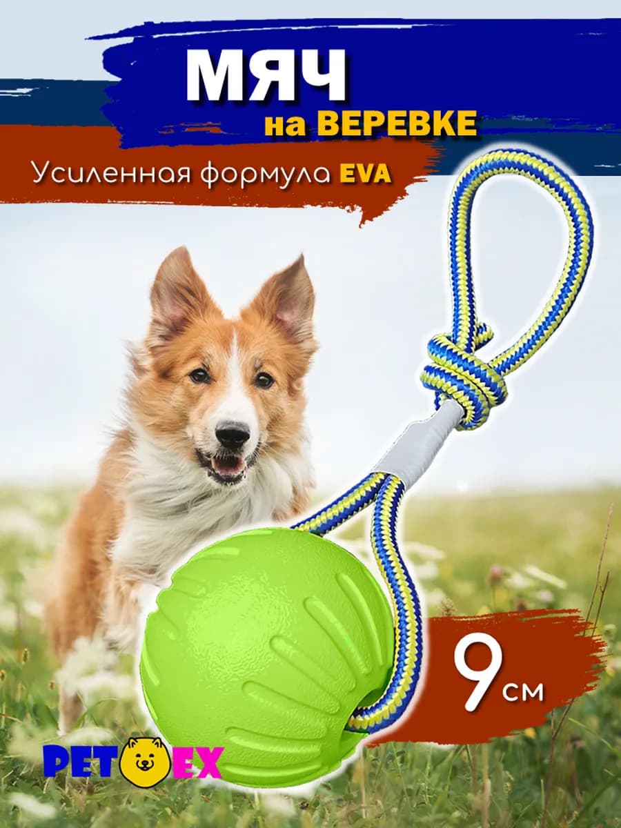 Мяч для собак на веревке 9 см