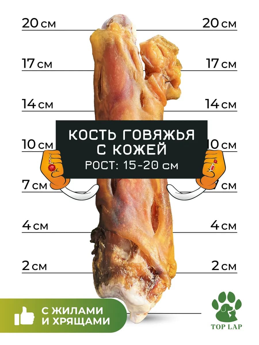 Кость для собак средних пород говяжья с жилами и хрящами