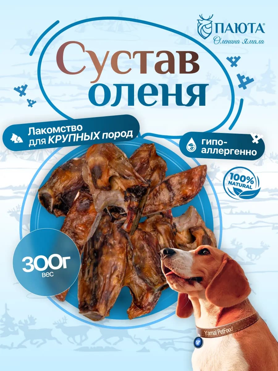 Сустав оленя 300гр для крупных пород, полезные вкусняшки - фото 1