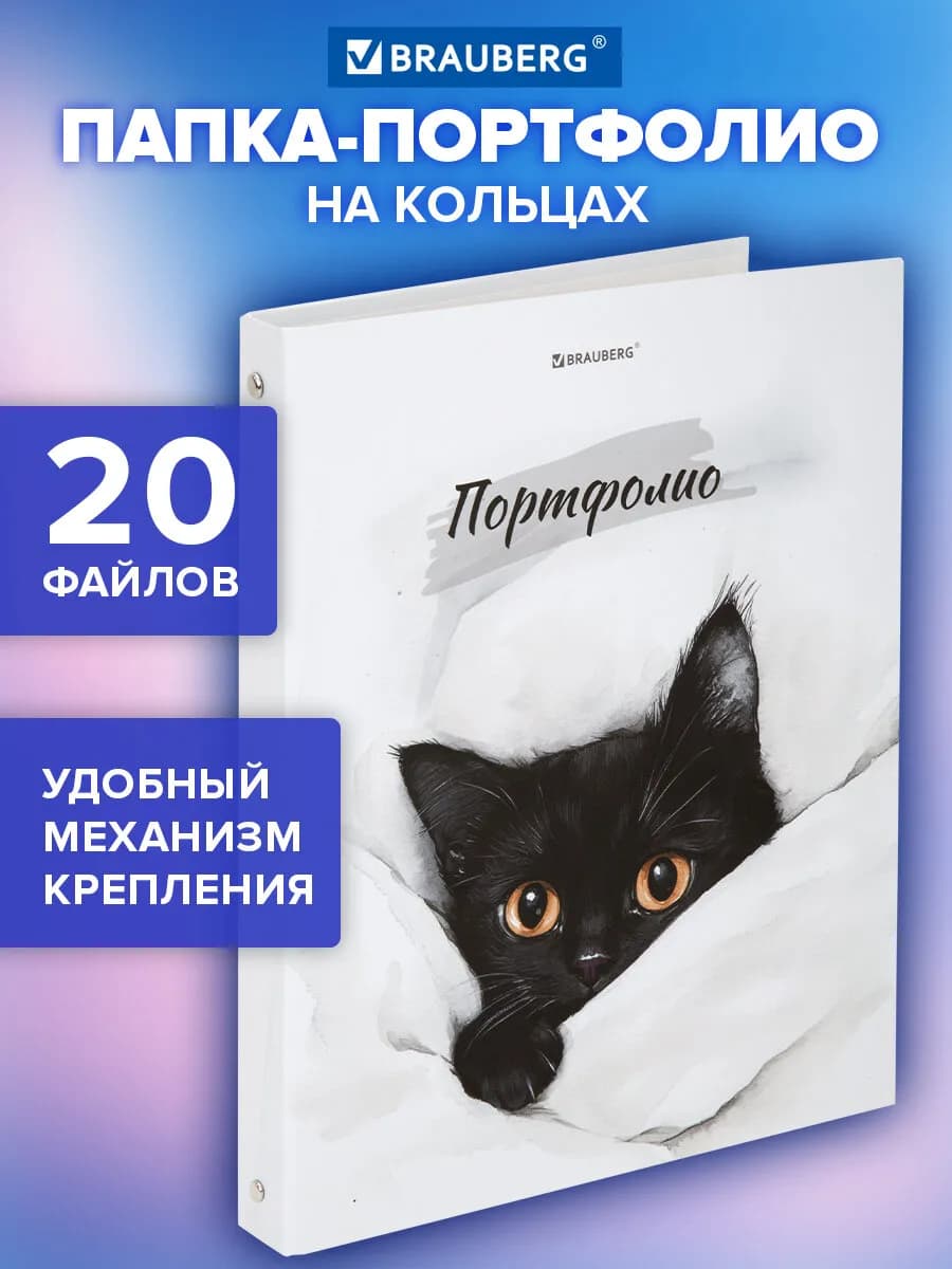 Портфолио школьника, папка А4 на кольцах, 20 файлов