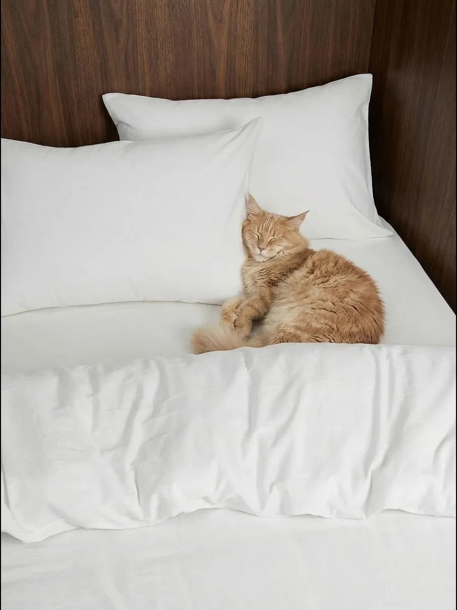 Комплект постельного белья Евро семейный Cotton collection