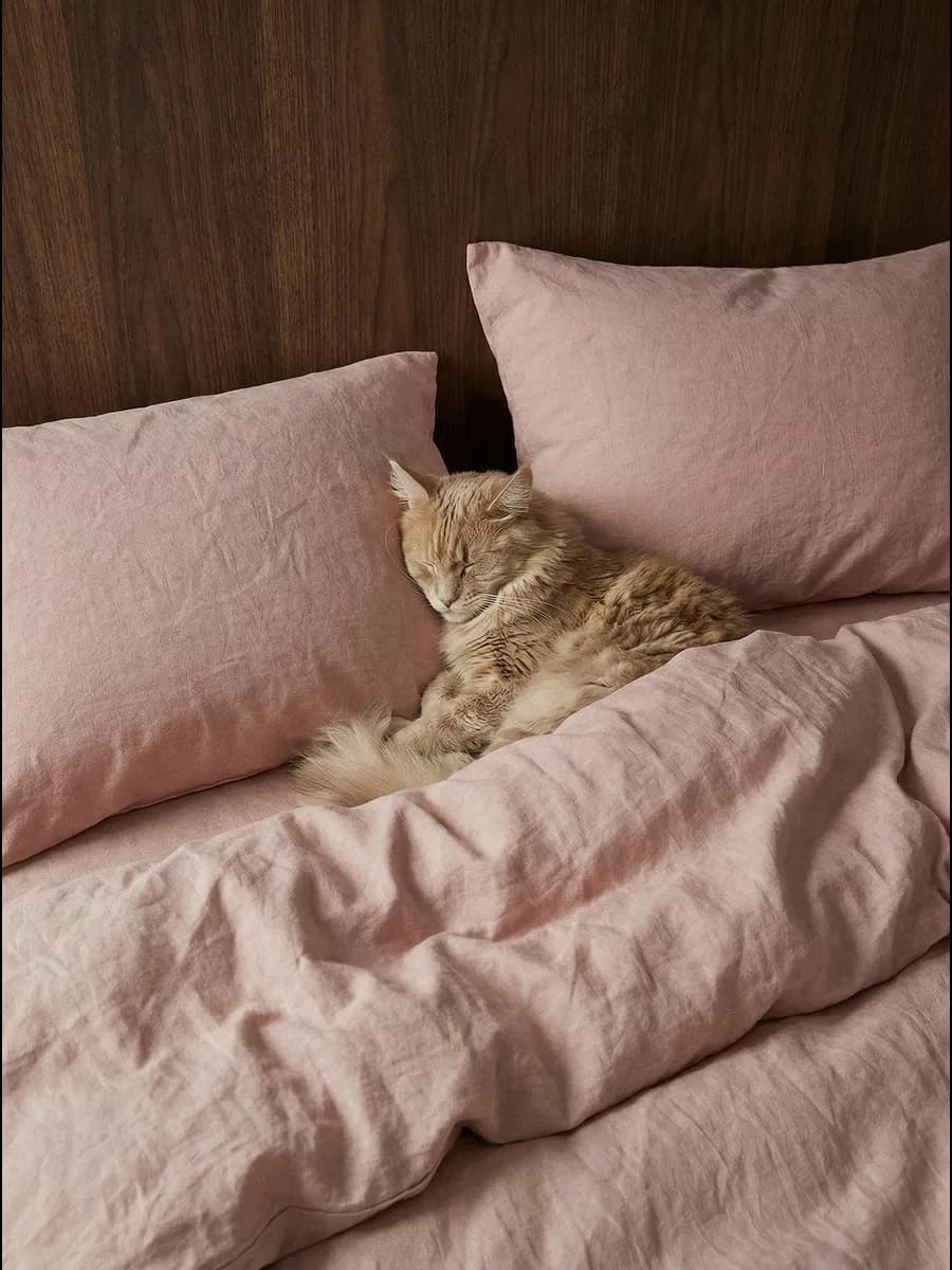 Комплект постельного белья Евро семейный Cotton collection