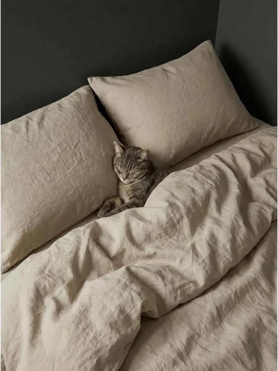 Комплект постельного белья Евро семейный Cotton collection