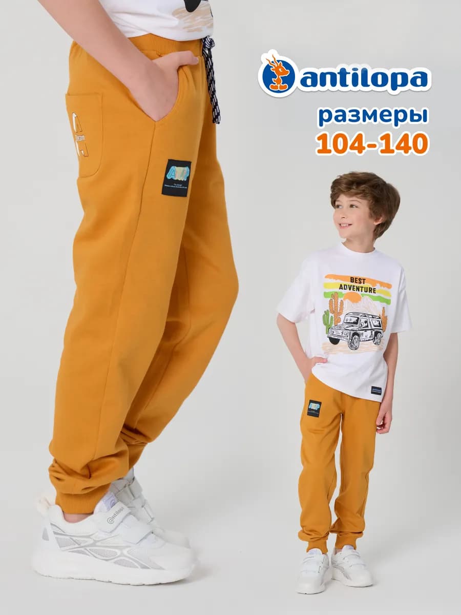 Брюки утепленные с начесом хлопковые спортивные на резинке
