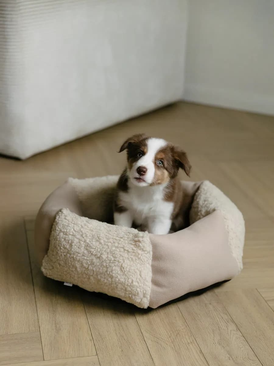 Лежанка для кошек и собак Tenerezza