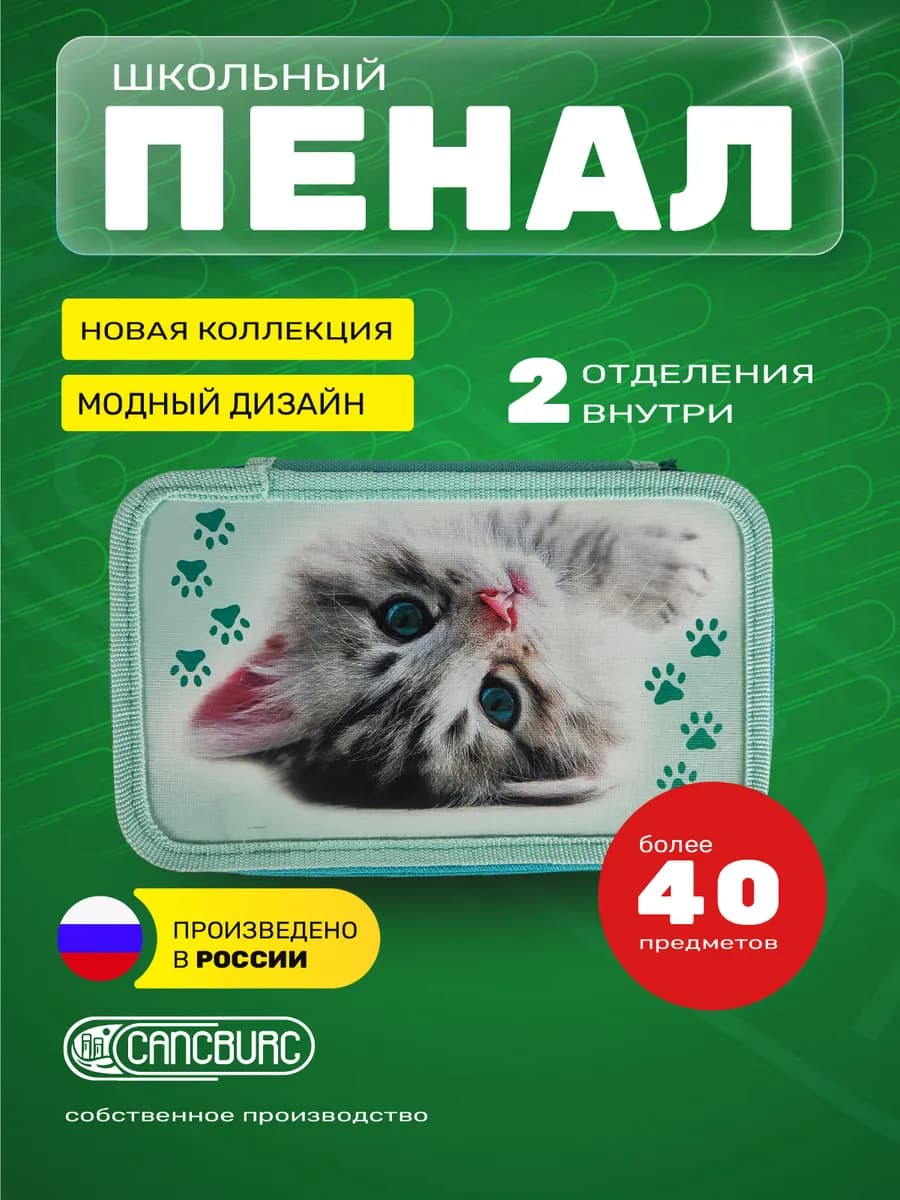 Пенал школьный, 2 отделения