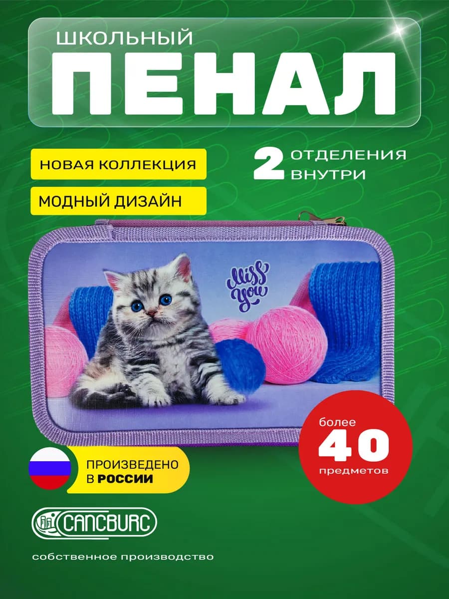 Пенал школьный, 2 отделения