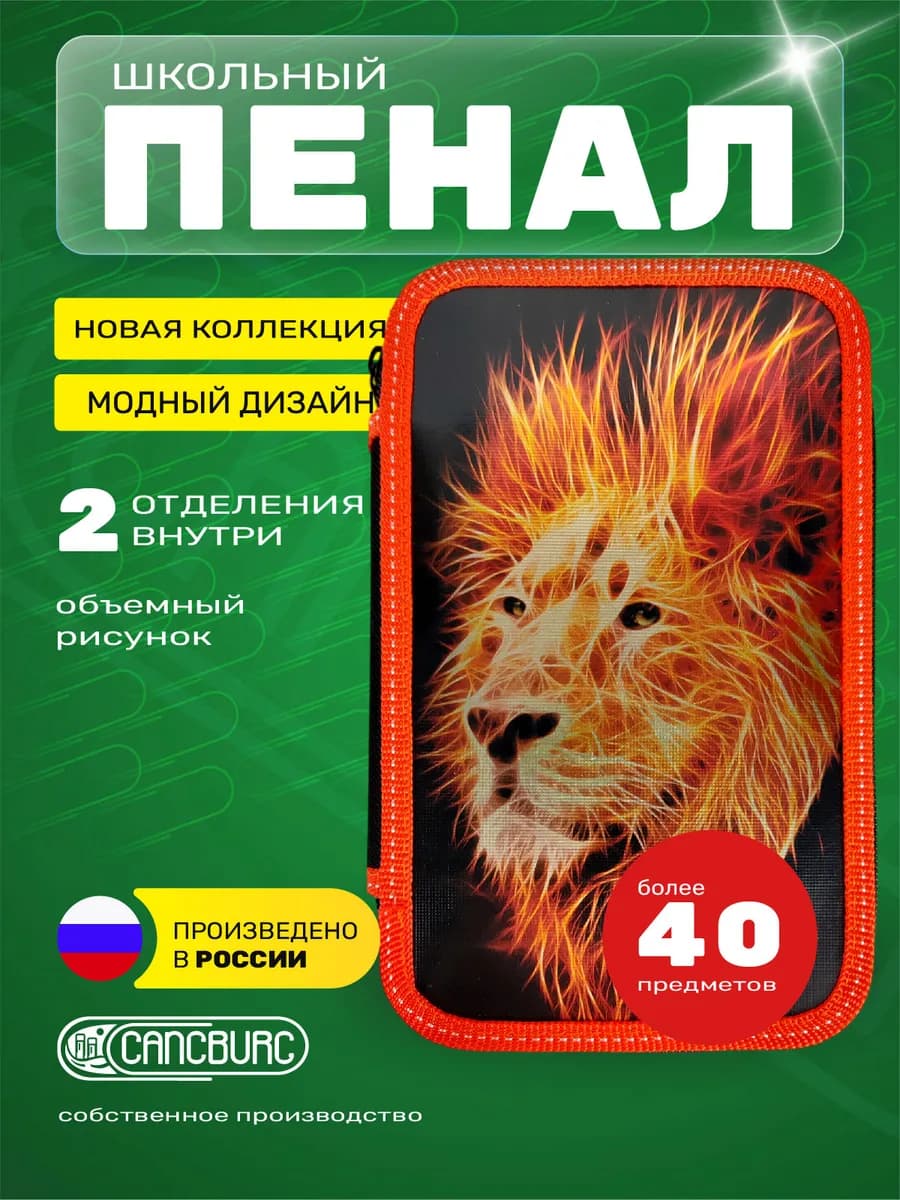 Пенал школьный, 2 отделения, эффект металл