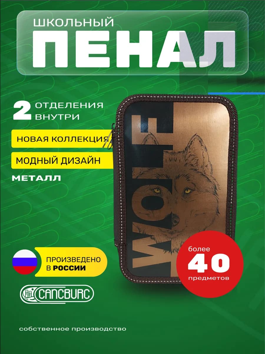 Пенал школьный, 2 отделения, эффект металл