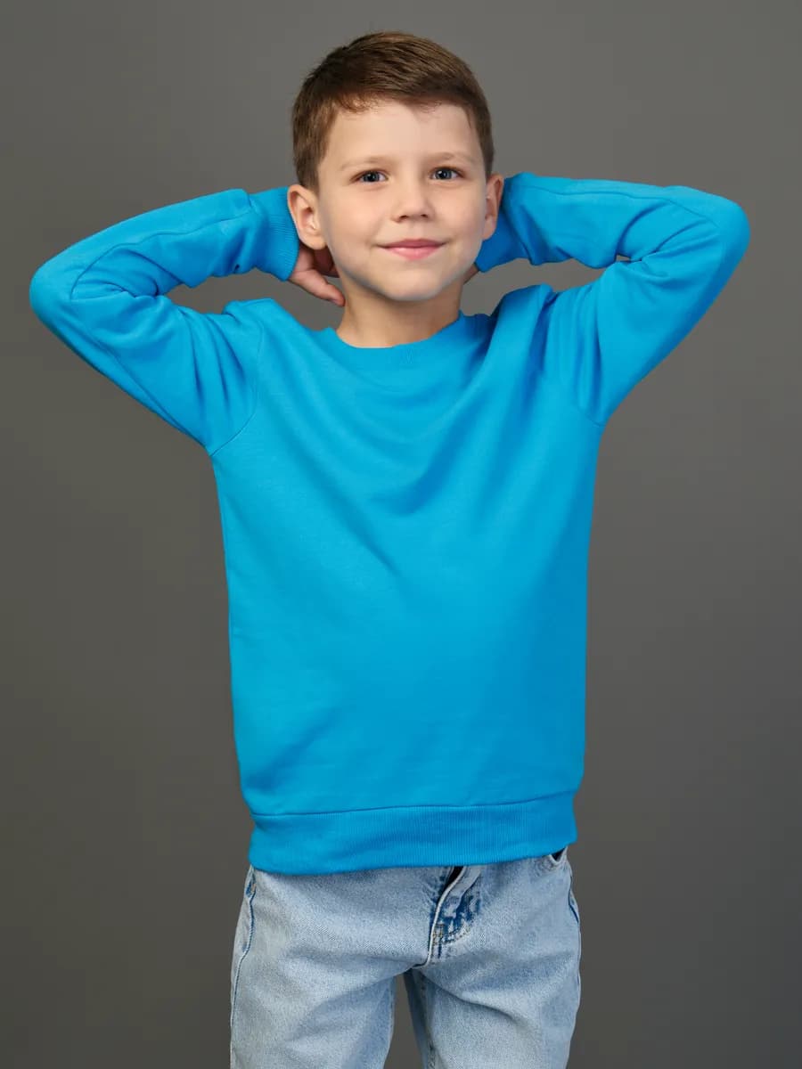 Толстовка свитшот без начеса