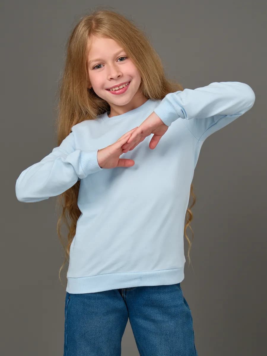 Толстовка свитшот без начеса