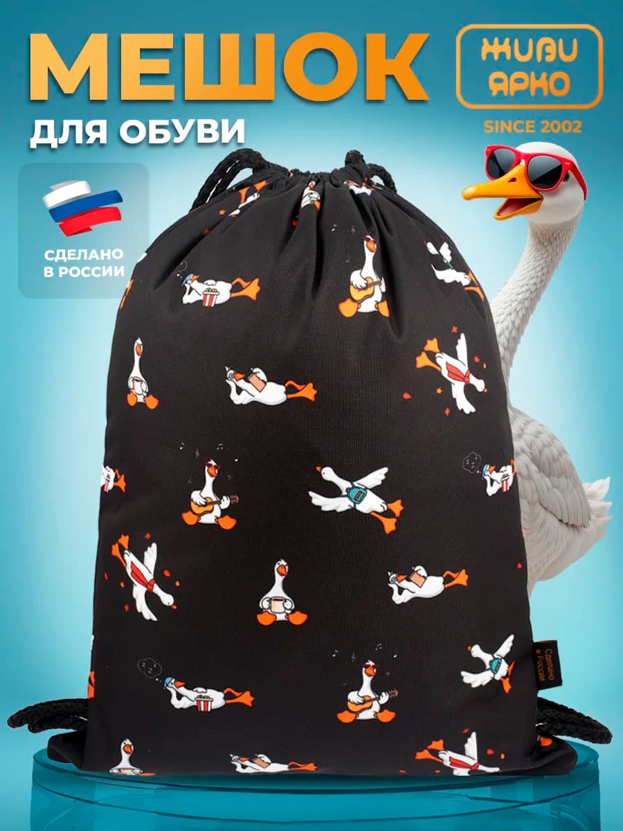 Мешок для обуви большой сменка школьная - фото 1