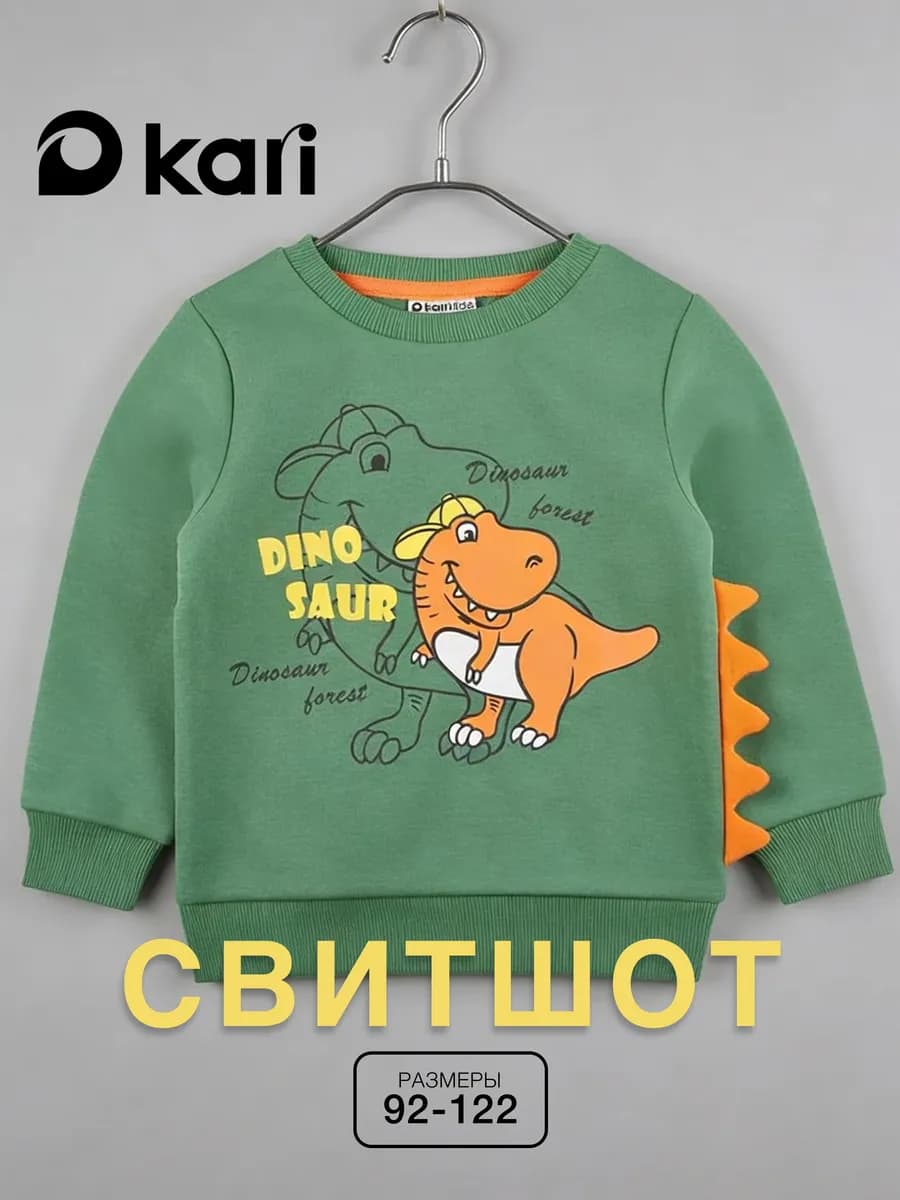 Свитшот для мальчика с начесом зеленый