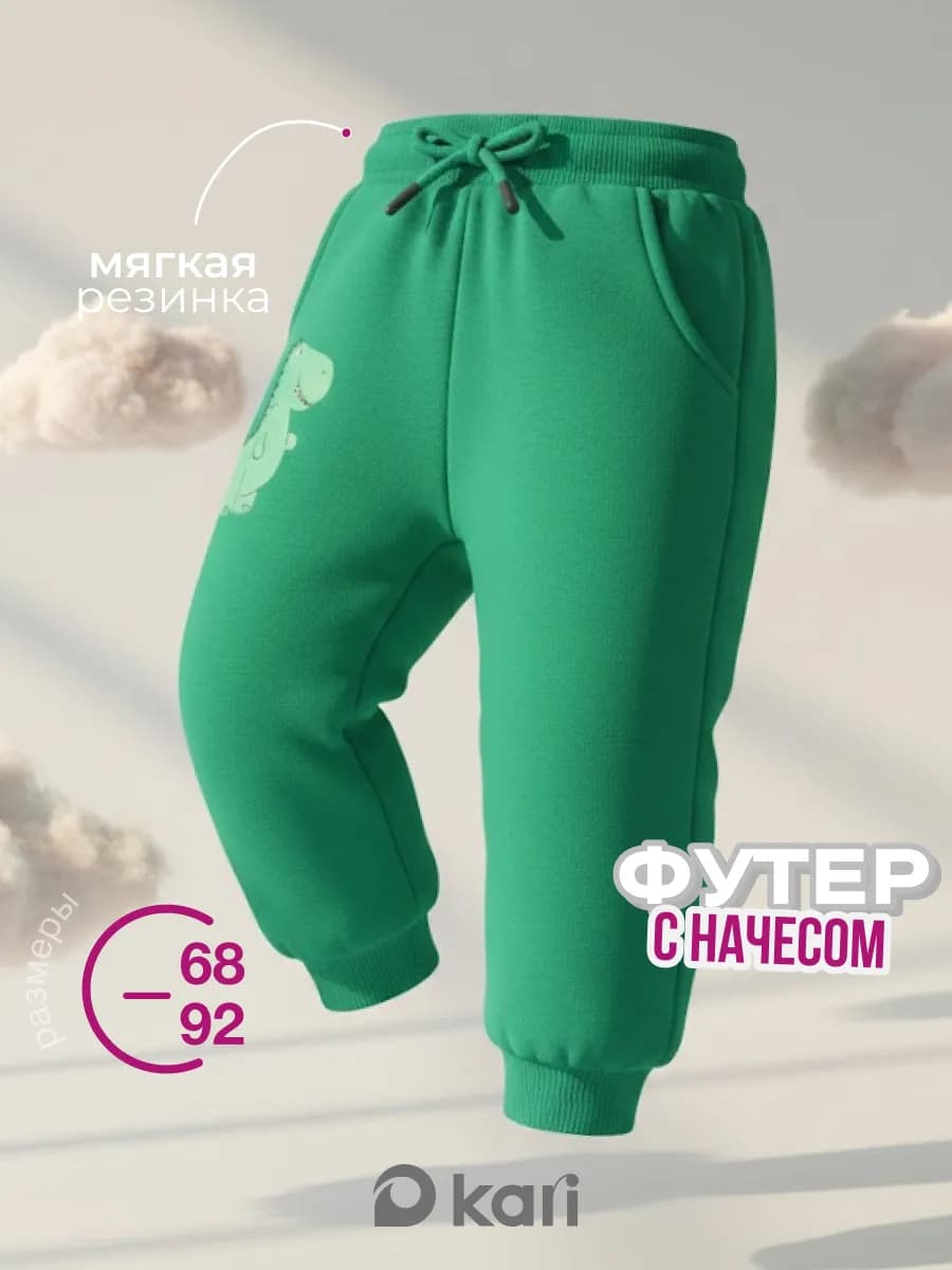 Спортивные штаны для мальчика с начесом зеленые