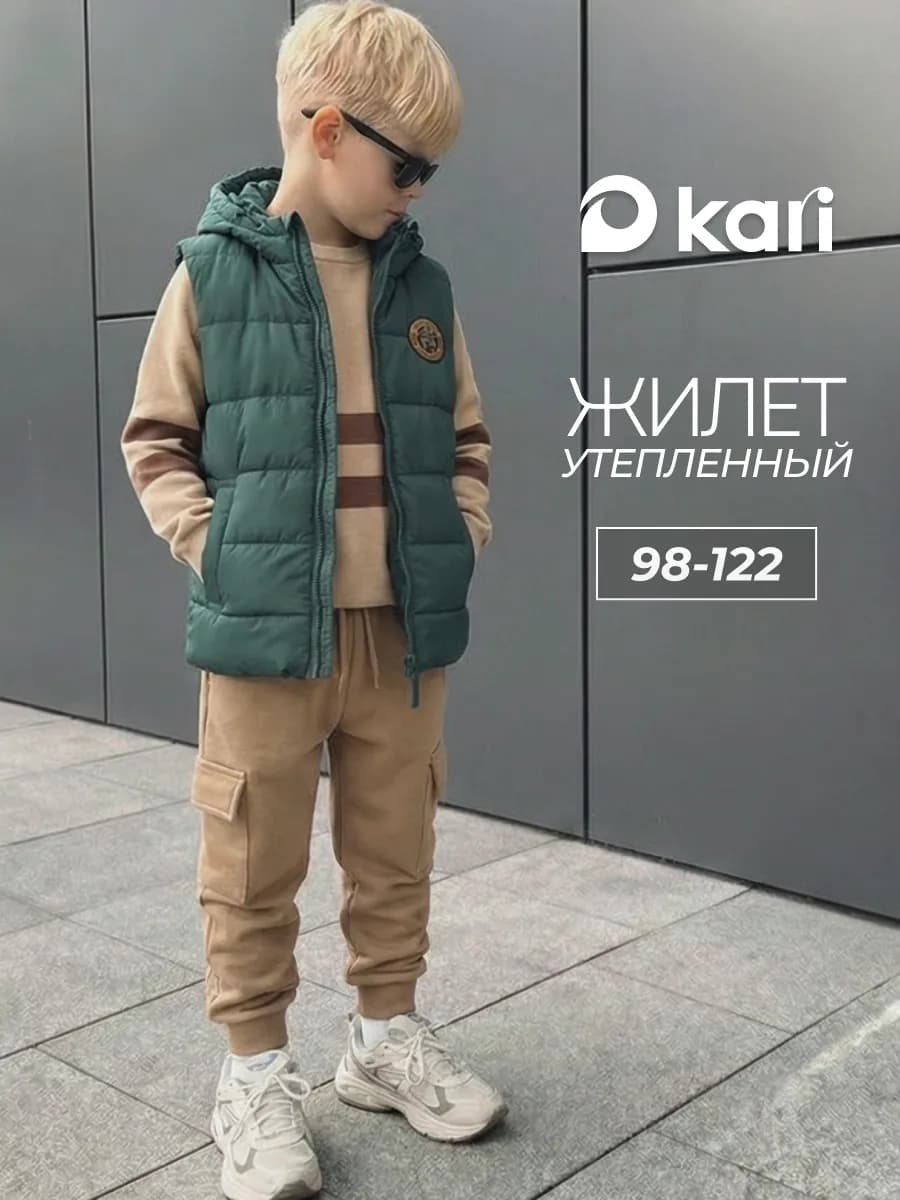 Жилет для мальчика утепленный с капюшоном