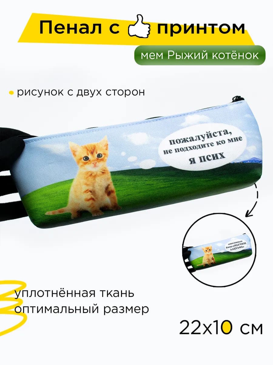 Пенал школьный с рыжим котёнком "Я псих", 1 шт - фото 1