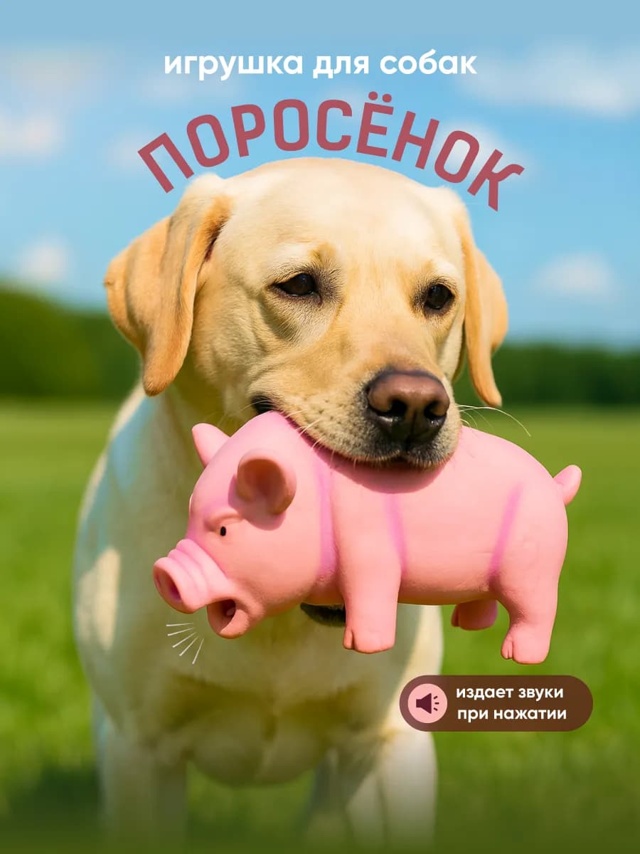 Пищалка игрушка для собак резиновая свинья хрюкающая