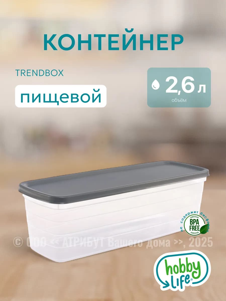 Контейнер пищевой Trendbox 2,6 л