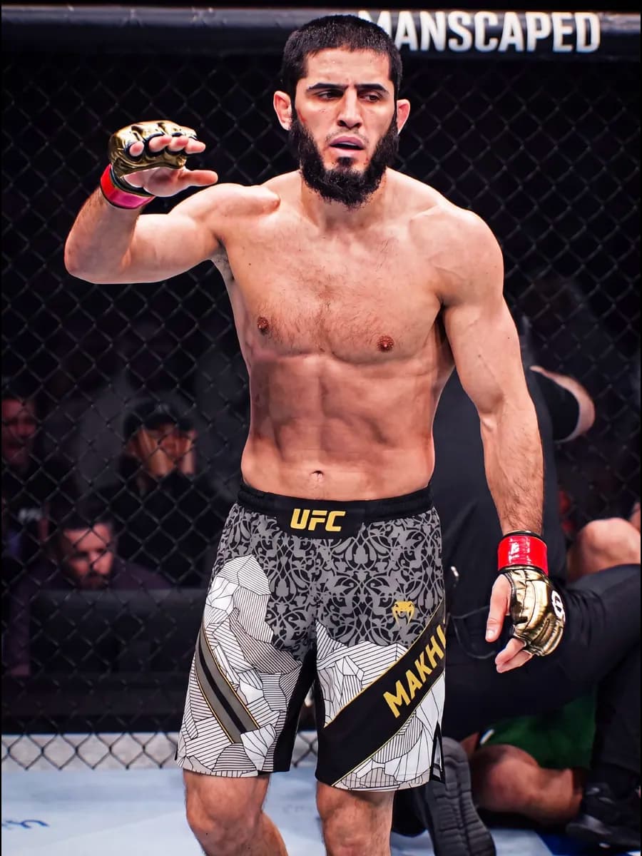 Кастомные шорты для единоборств UFC