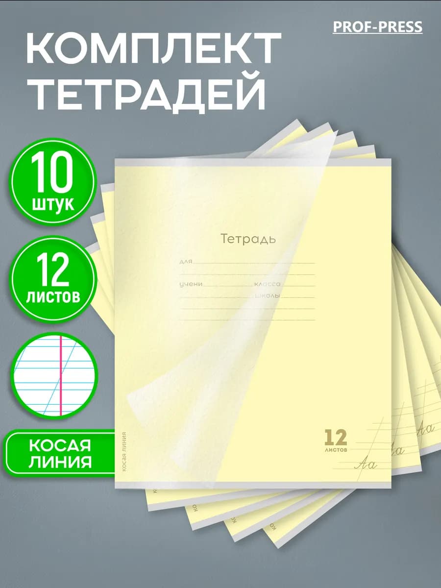 Тетрадь в косую линейку 12 листов с пластиковой обложкой