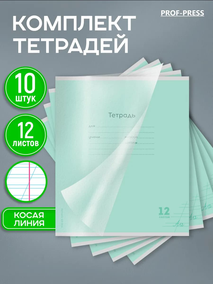 Тетрадь в косую линейку 12 листов с пластиковой обложкой