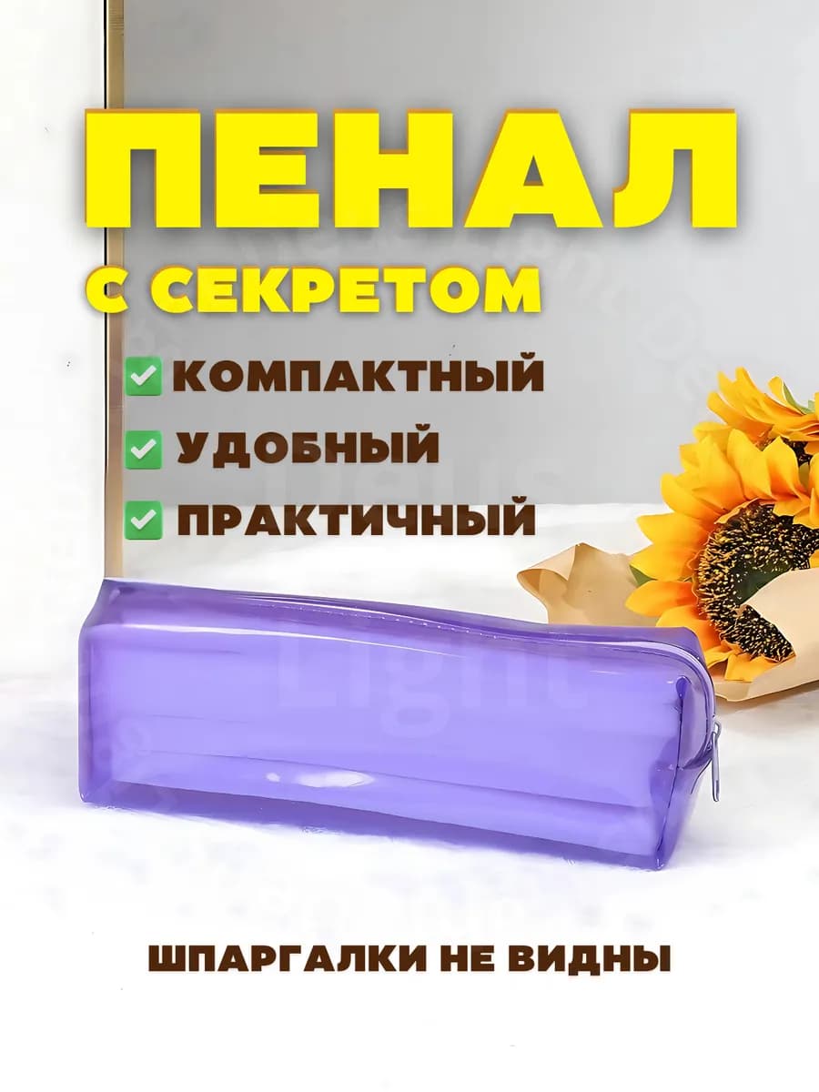 Пенал школьный прозрачный для списывания