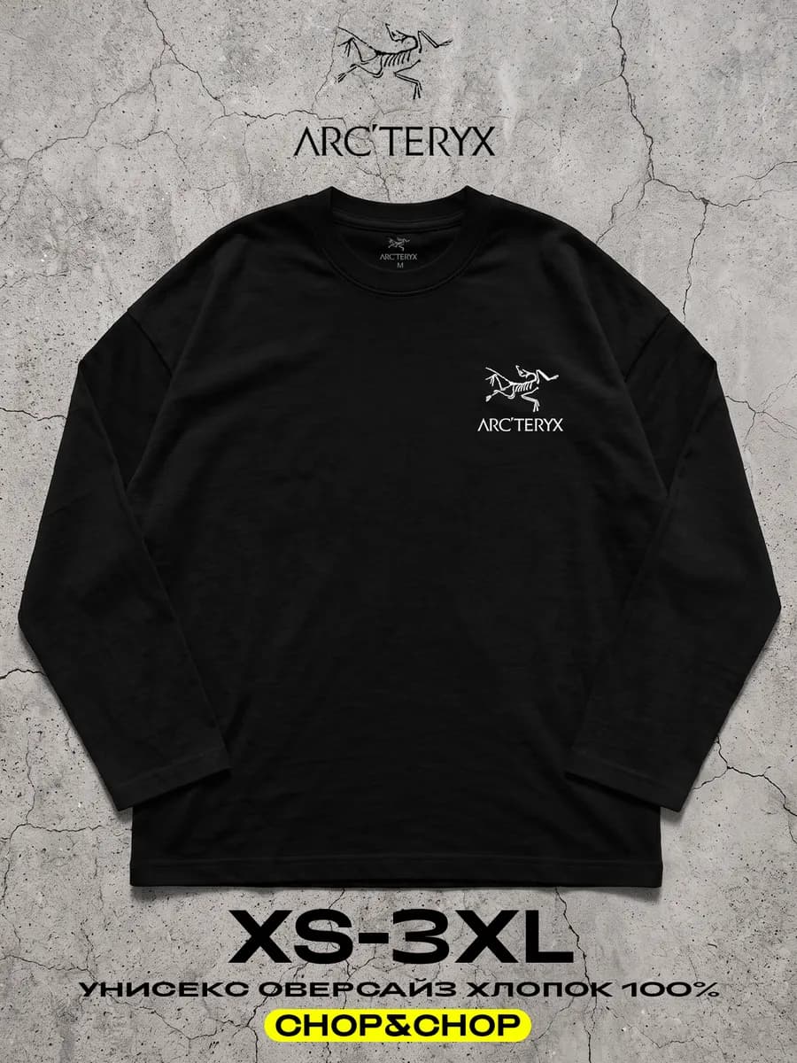 Лонгслив Arcteryx арктерикс pinterest оверсайз с принтом y2k