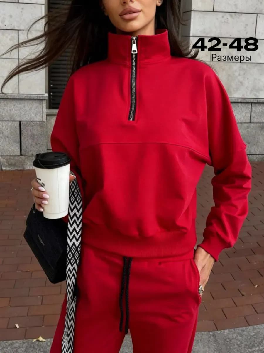 Спортивный костюм без начеса на молнии полузамок