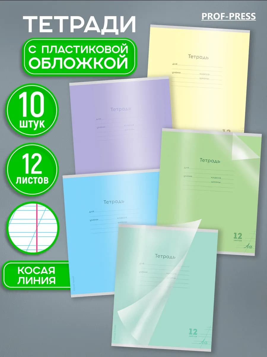 Тетрадь в косую линейку 12 листов с пластиковой обложкой