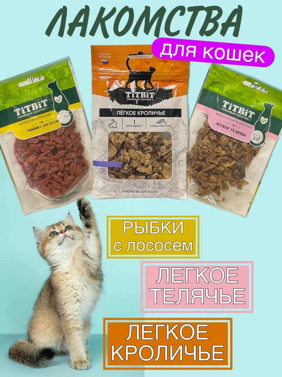 Лакомство для кошек, набор рыбки и легкое