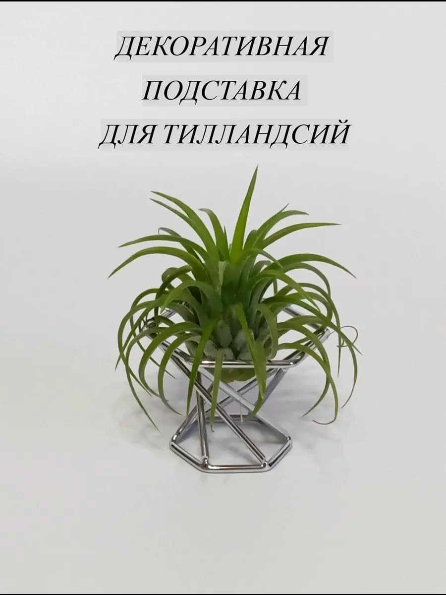 Подставка декоративная для тилландсий
