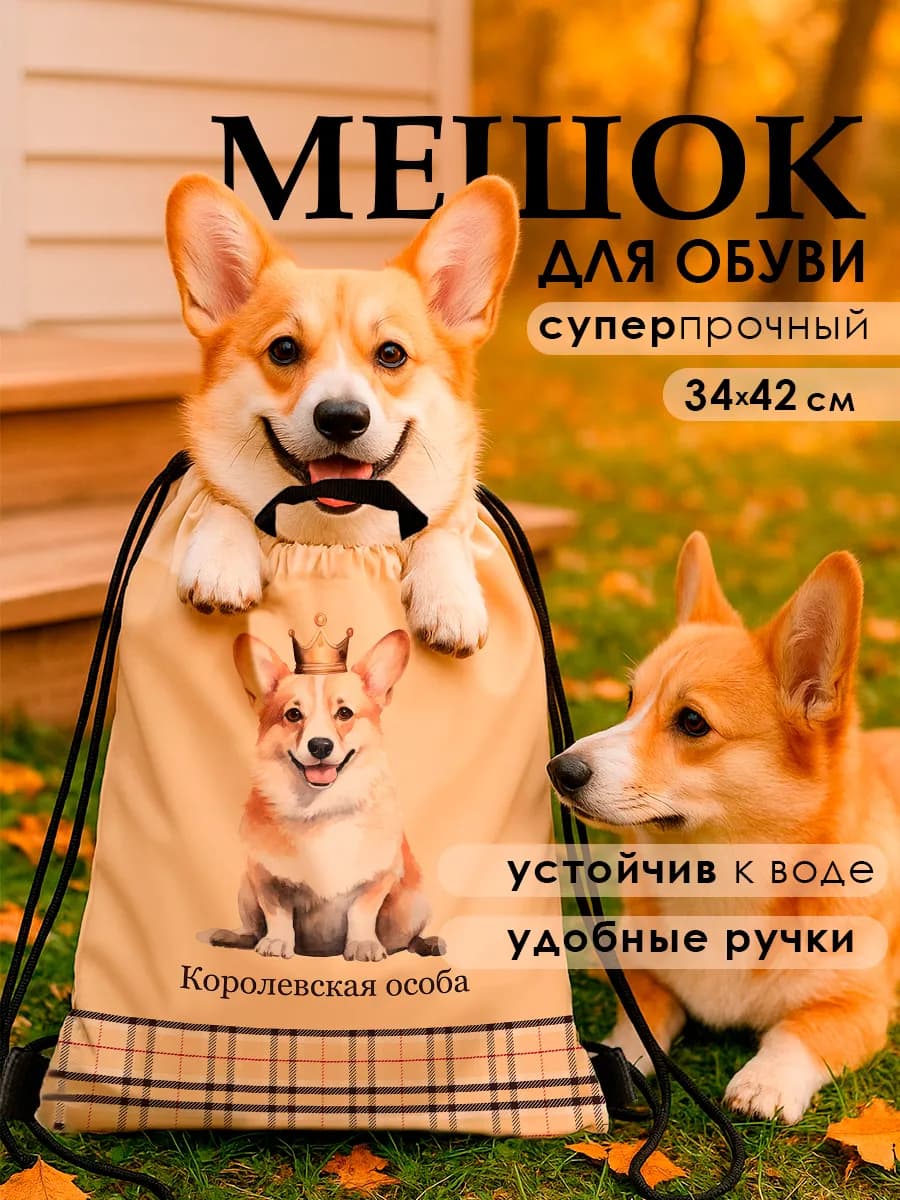 Мешок для сменной обуви в школу