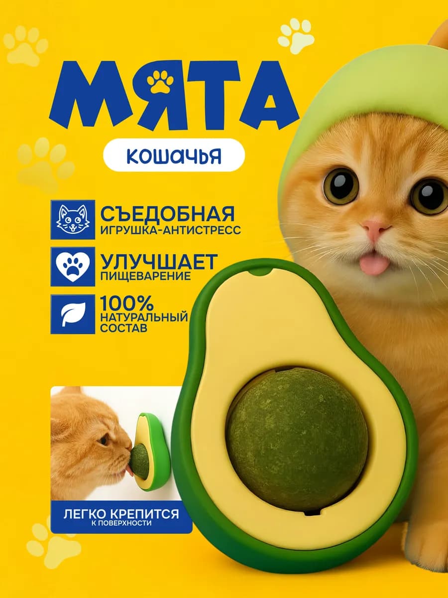 Кошачья мята Авокадо