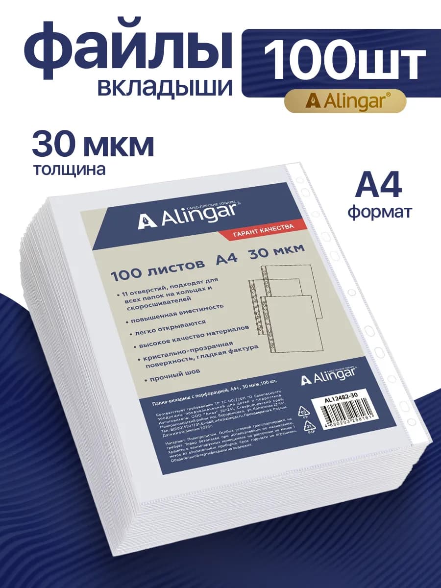 Файлы А4+, 30 мкм, 100 штук