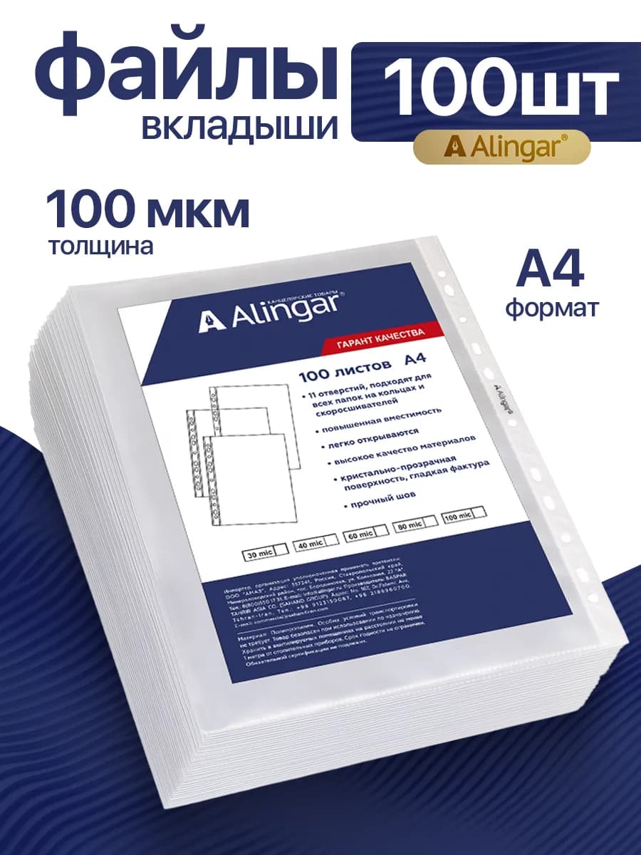 Файлы А4+, 100 мкм, 100 штук - фото 1