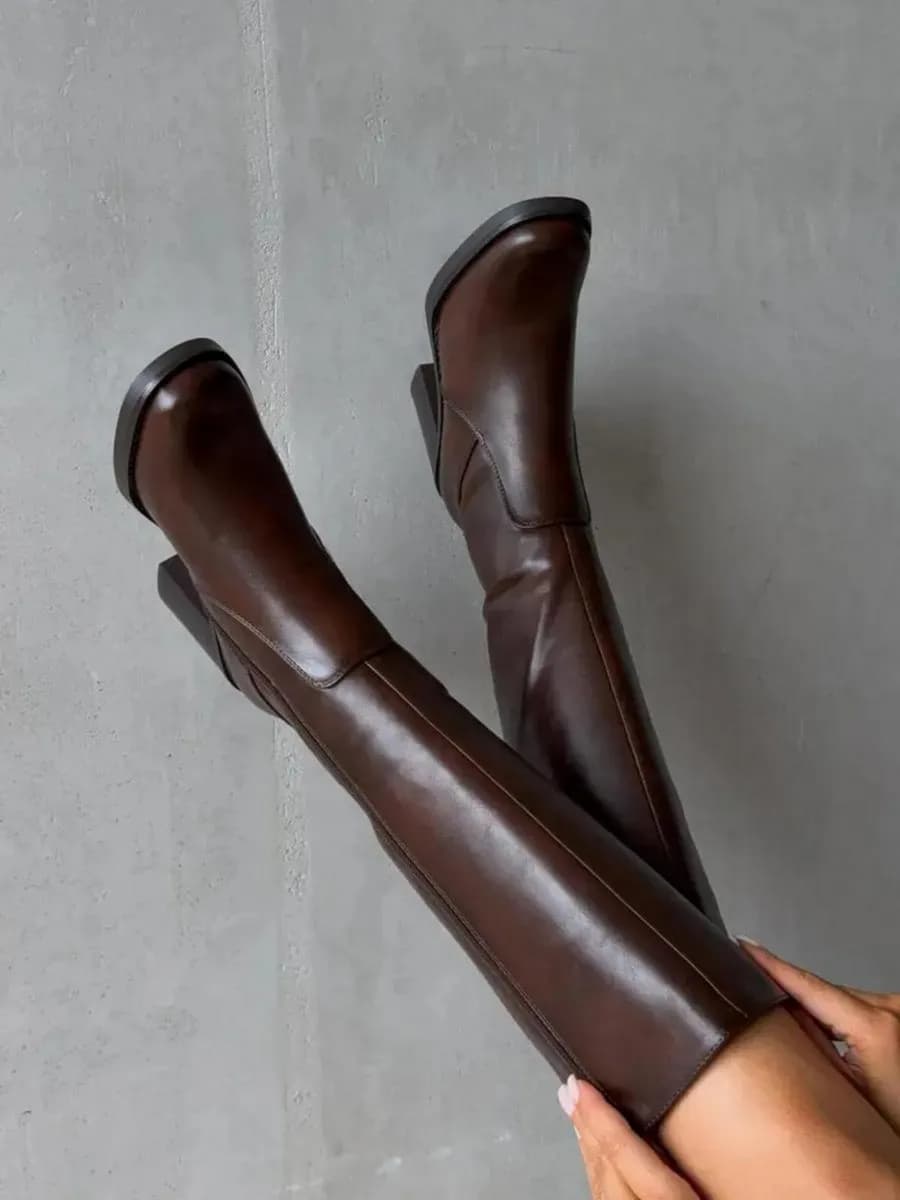 Сапоги демисезонные на каблуке высокие