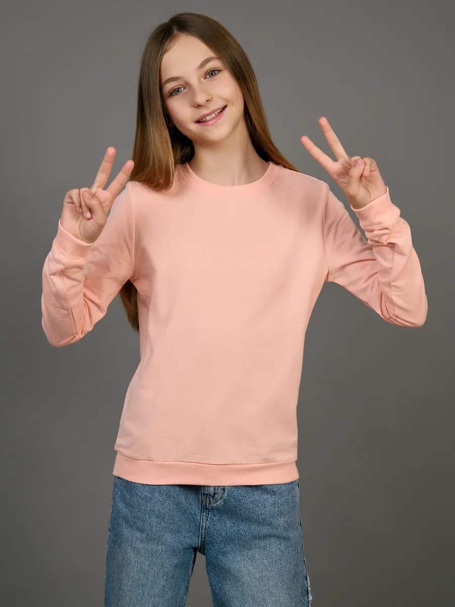 Толстовка свитшот без начеса