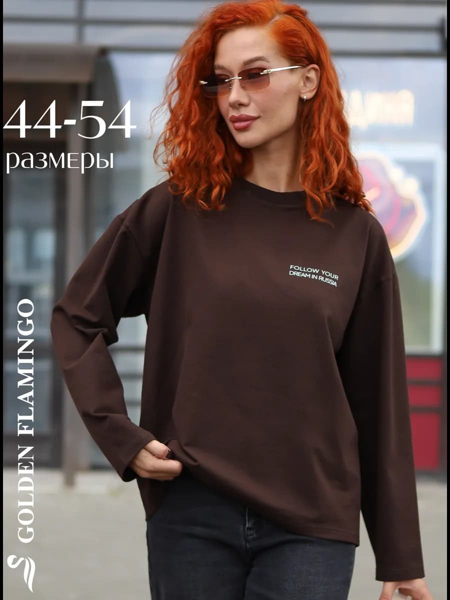 Лонгслив коричневый y2k с мини принтом Алтай