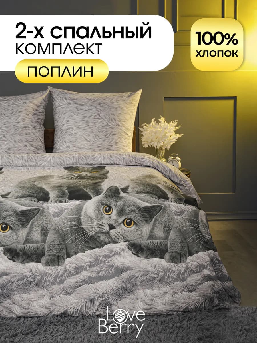 Постельное белье 2 спальное 200х215 Поплин