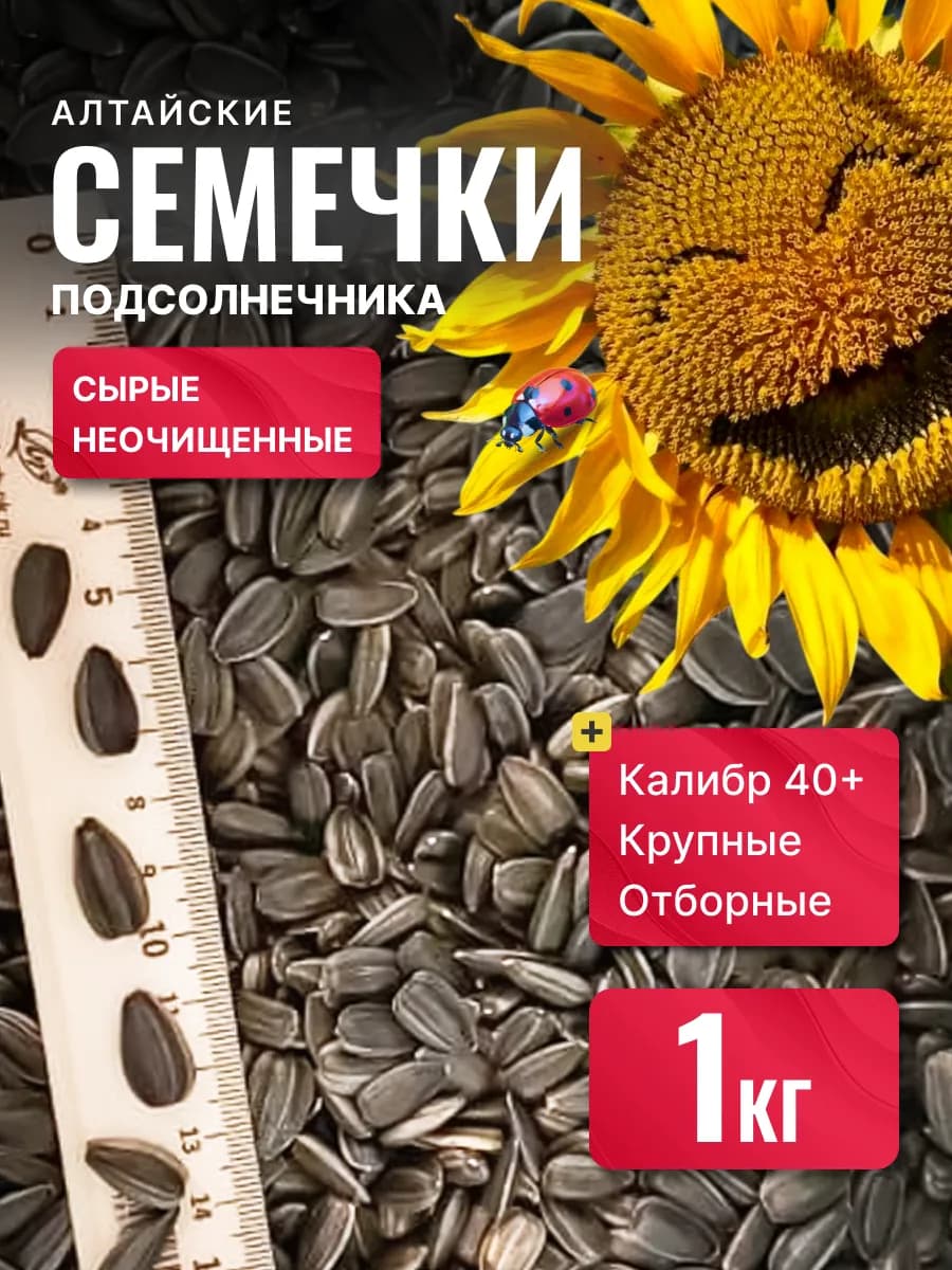 Семечки подсолнечника Алтайские сырые 1 кг, крупные