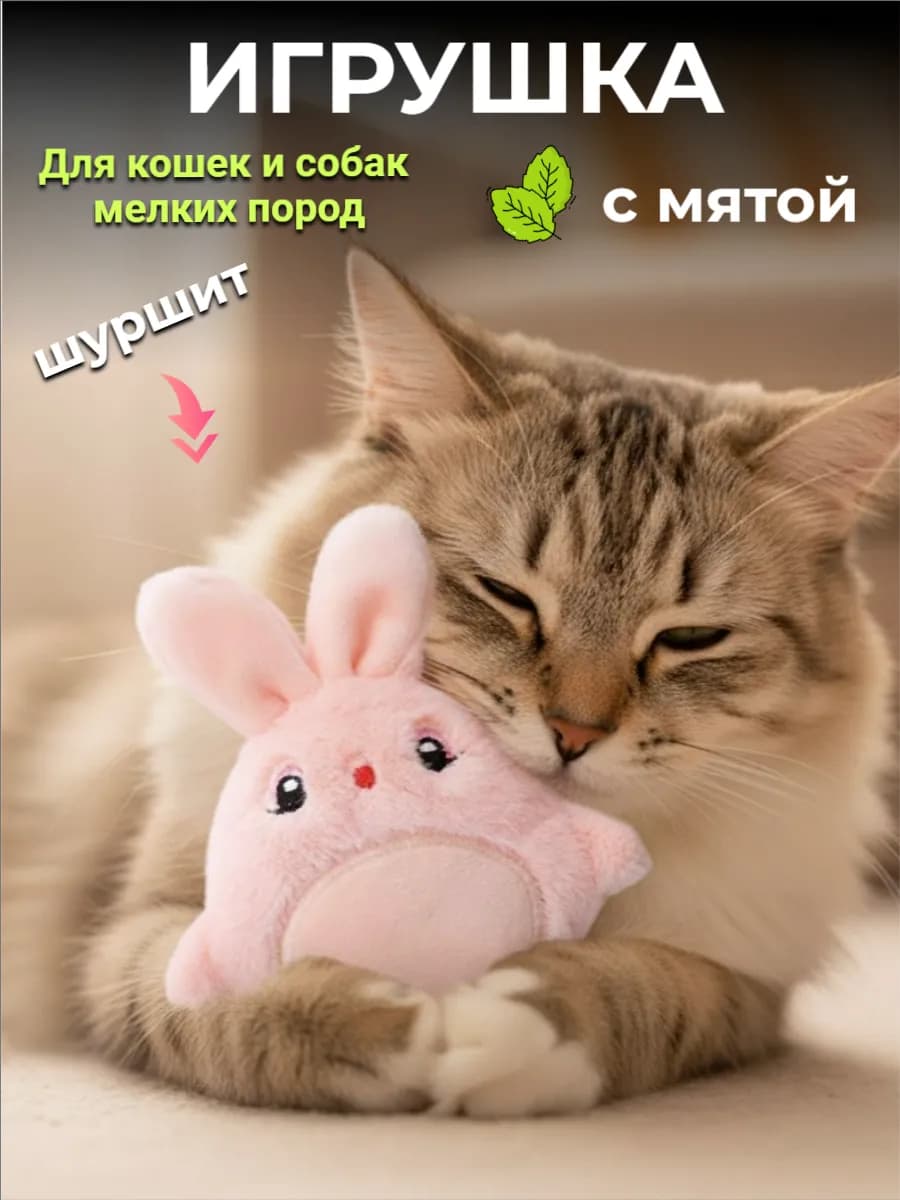 Игрушка для кошек и собак с мятой