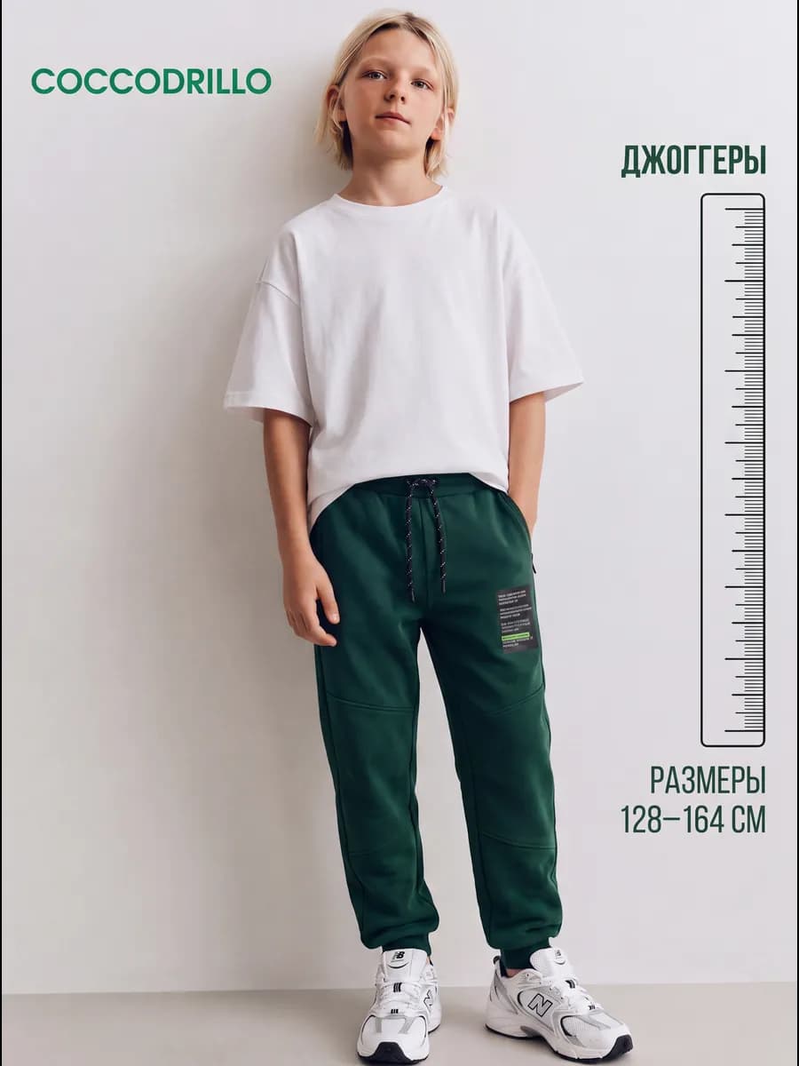 Брюки спортивные джоггеры Regular fit