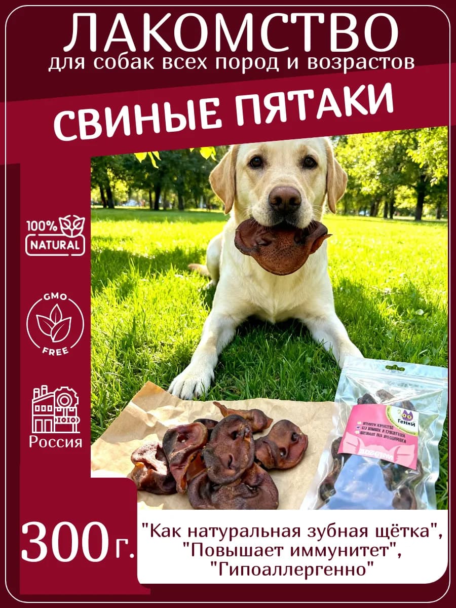 Пятачки для собак 300 г — угощение для здоровья зубов