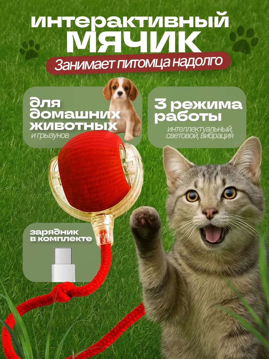 Интерактивный мяч для кошек