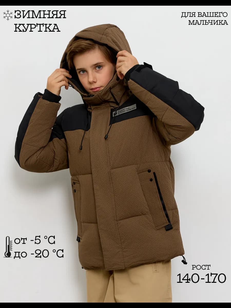 Куртка зимняя пуховик с капюшоном - фото 1